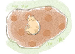 Kanmi.が使う浅草レザーについて