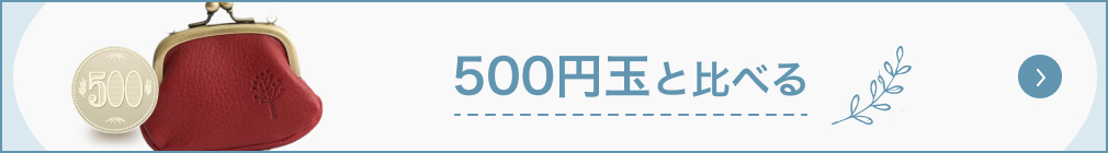 500円玉と比べる