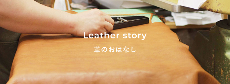 革のおはなし