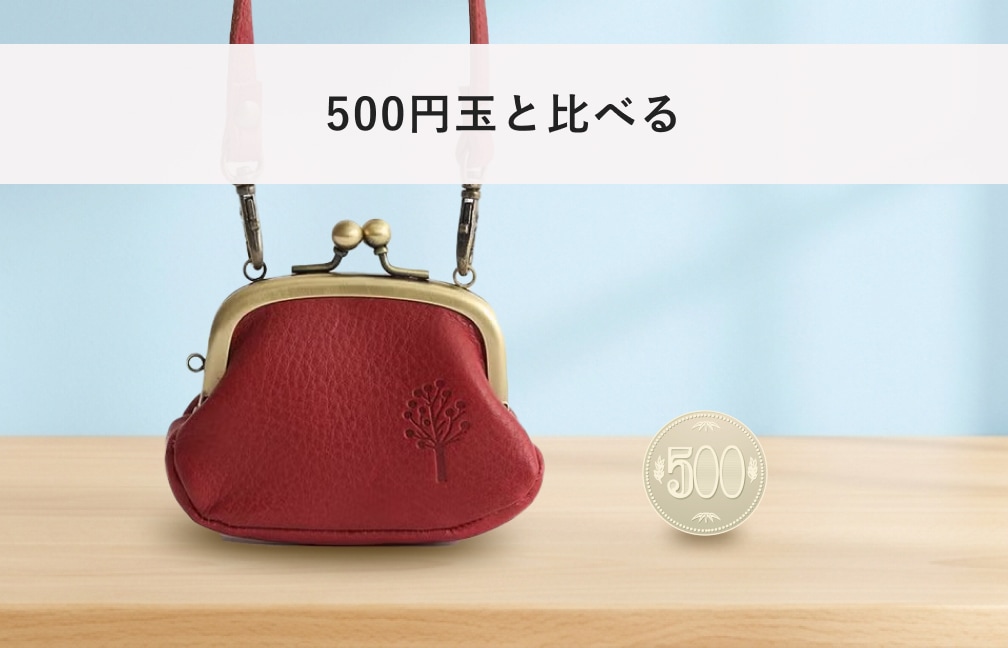 500円玉と比べる
