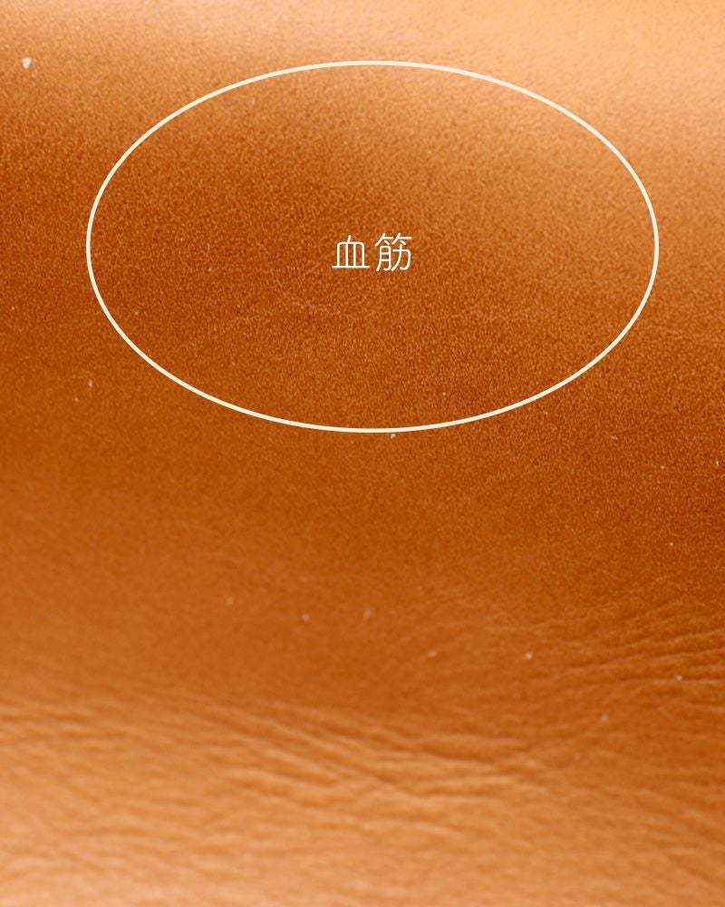 ナバルの革の血筋の例