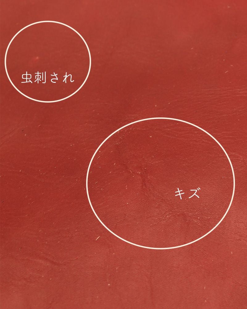 ナバルの革の虫刺され・傷の例