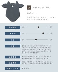 革サンプルA : ナバル　ネイビー