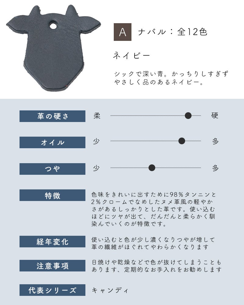 革サンプルA : ナバル　ネイビー