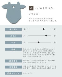 革サンプルA : ナバル　ソライロ