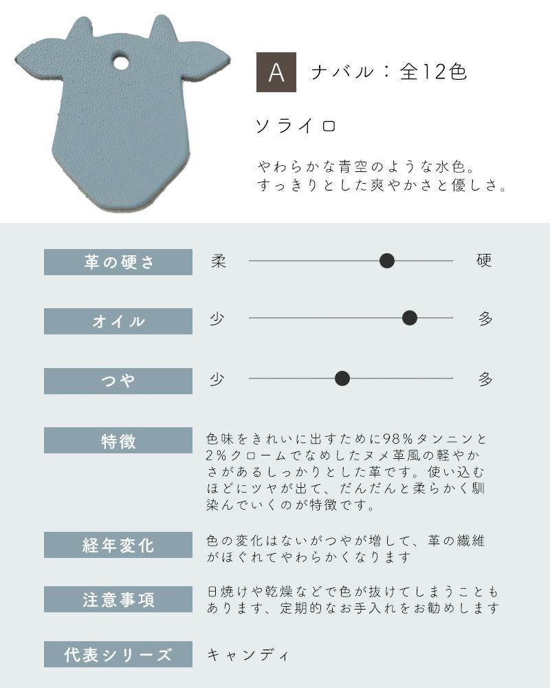 革サンプルA : ナバル　ソライロ