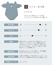 革サンプルA : ナバル　ソライロ