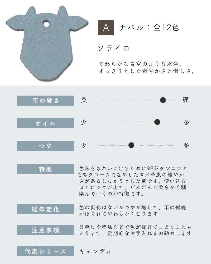 革サンプルA : ナバル　ソライロ