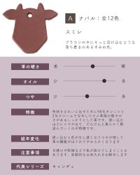 革サンプルA : ナバル　スミレ