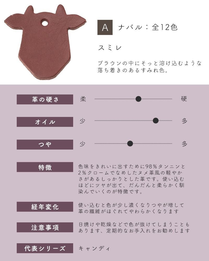 革サンプルA : ナバル　スミレ