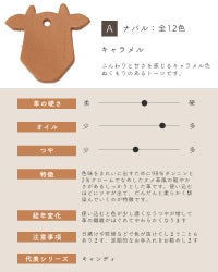 革サンプルA : ナバル　キャラメル