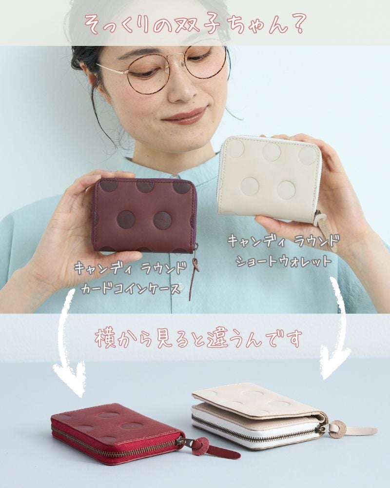 ファスナーだから、使い方広がる「キャンディ ラウンドカードコイン