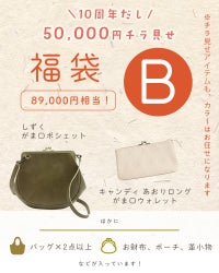 Bセット(しずく がま口ポシェット＋・キャンディ あおりロングがま口ウォレット＋その他が必ず入る福袋です)